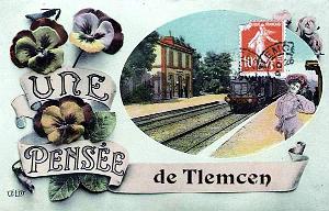 TLEMCEN 615